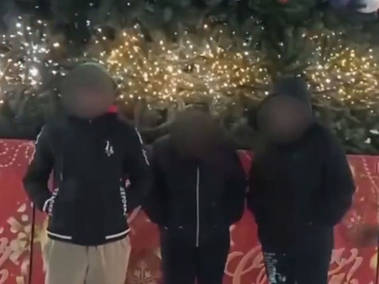 Трое хулиганов извинились за безобразное поведение возле елки в Приморье