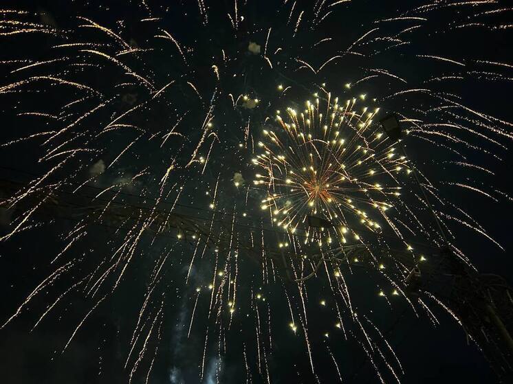 В Алтайском крае в новогоднюю ночь перестанет действовать закон о тишине