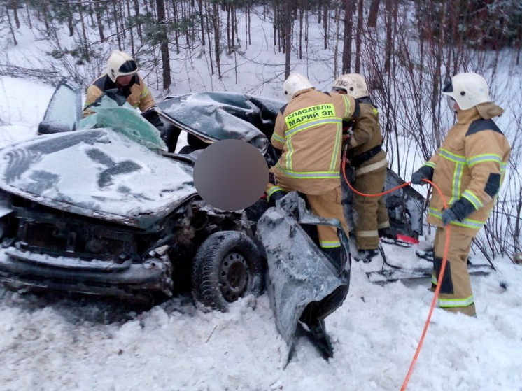 Марийские спасатели подвели итоги работы за 2025 год