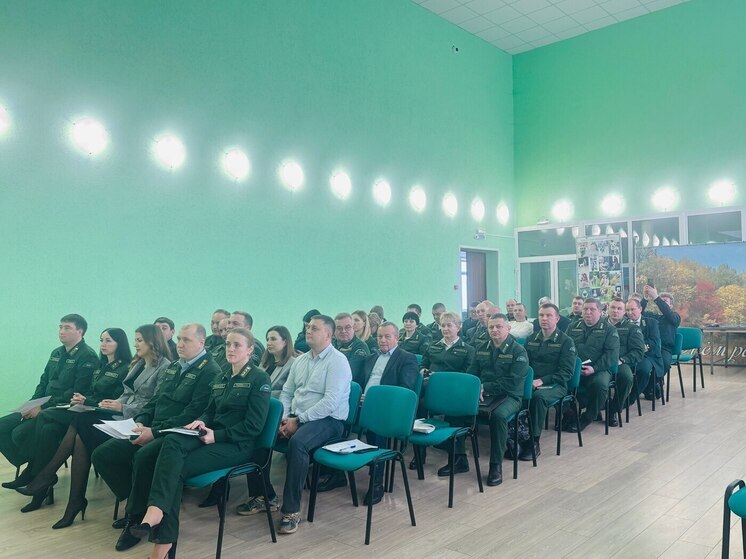 Министерство Пензенской области подвело итоги года по сохранению лесного фонда