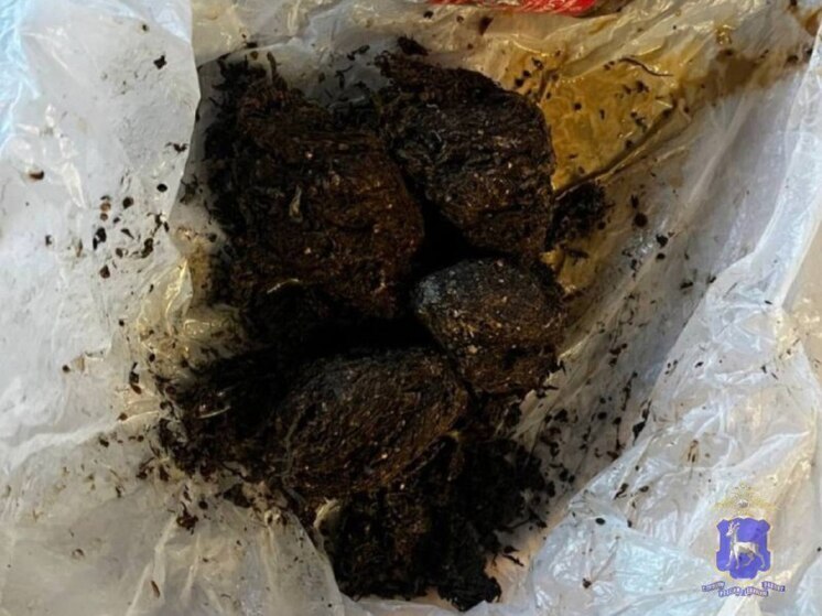 В Самарской области  полицейскими задержан подозреваемый в хранении наркотиков