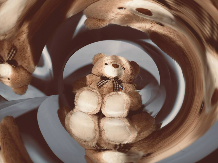 Игрушечных медвежат западные либералы обвинили в искажении представлений детей о природе