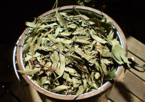 Травяные компрессы используются на протяжении тысячелетий. Современные исследователи в Таиланде изучают научные основы их применения. Посетителям спа-салонов хорошо знаком запах традиционного тайского травяного компресса: смесь аромата лемонграсса с имбирем и тамариндом, подчеркнутая резким запахом камфары. 
