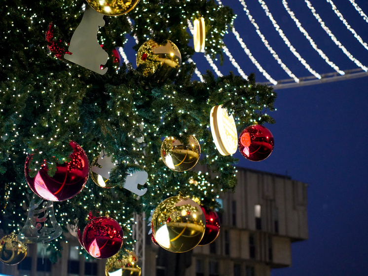 За порядком в Туле 27 декабря проследит Юрий Терехов