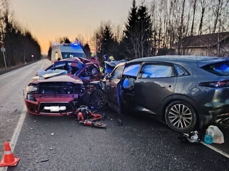 В Выборгском районе из-за опасного обгона трое погибли, один пострадал