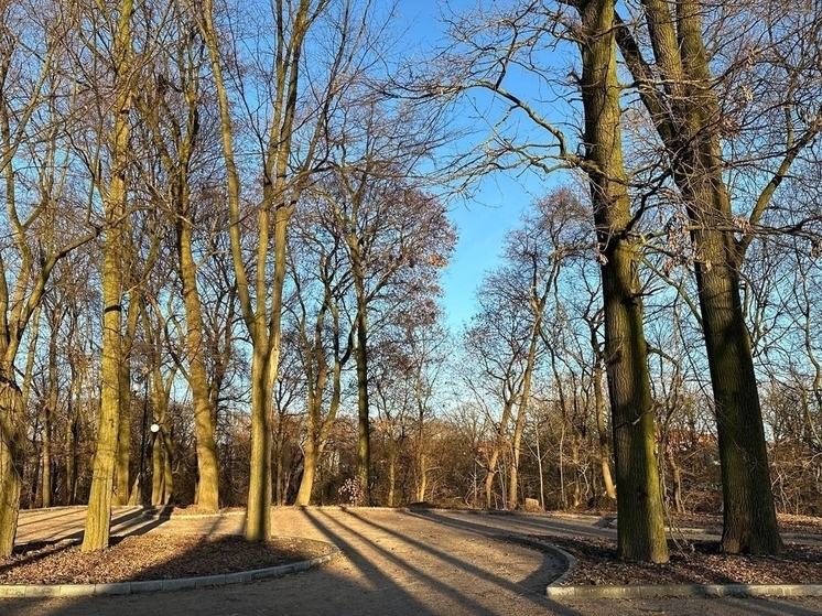 В Черняховске почти завершили сквер с дождевым садом