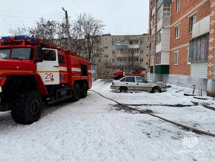 Пылающий мусорный контейнер в Кимовске пришлось тушить 7 сотрудникам МЧС