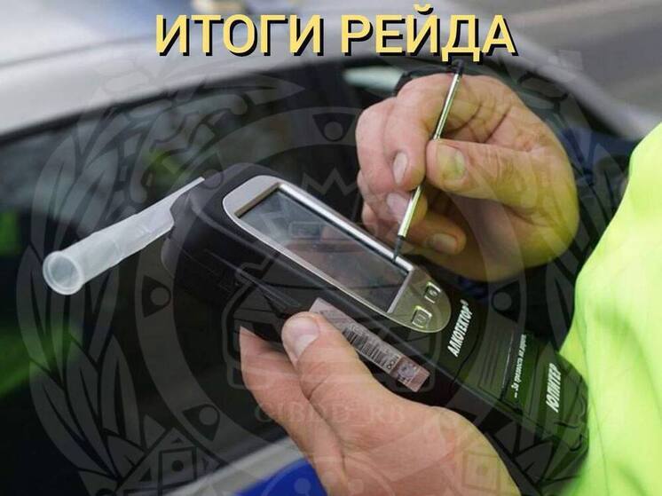 В Башкирии задержали 33 нетрезвых водителей