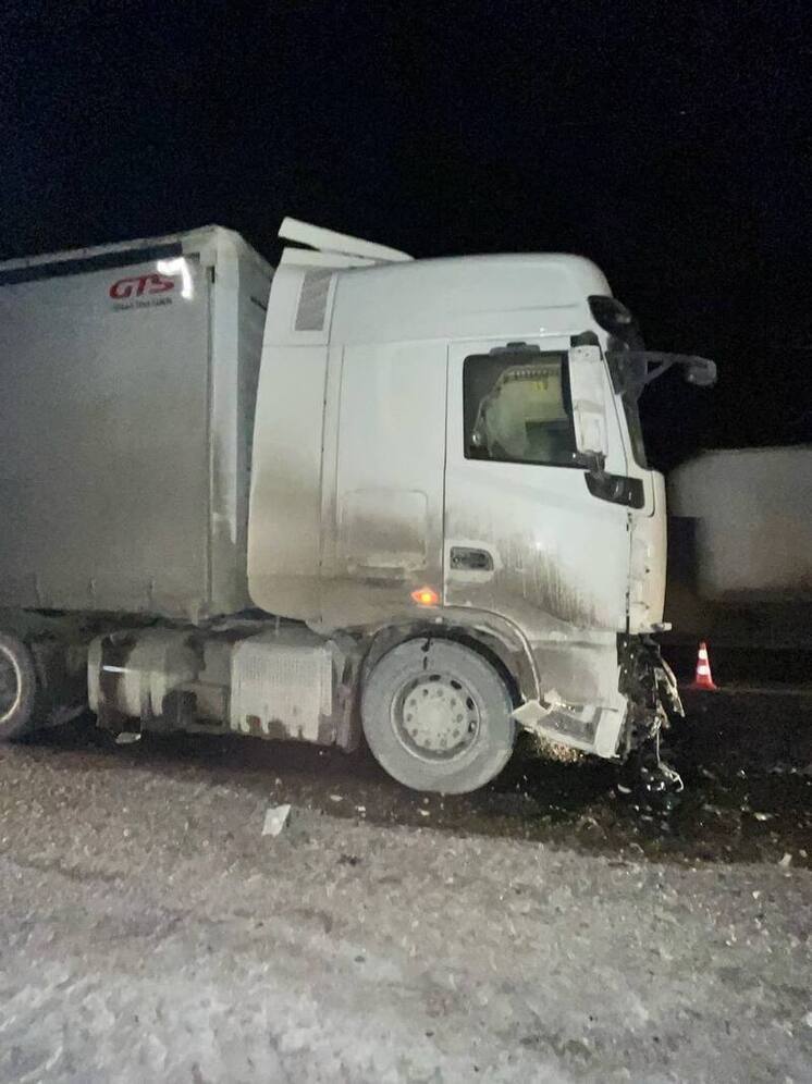 Два человека погибли под колесами большегруза в Нижегородской области