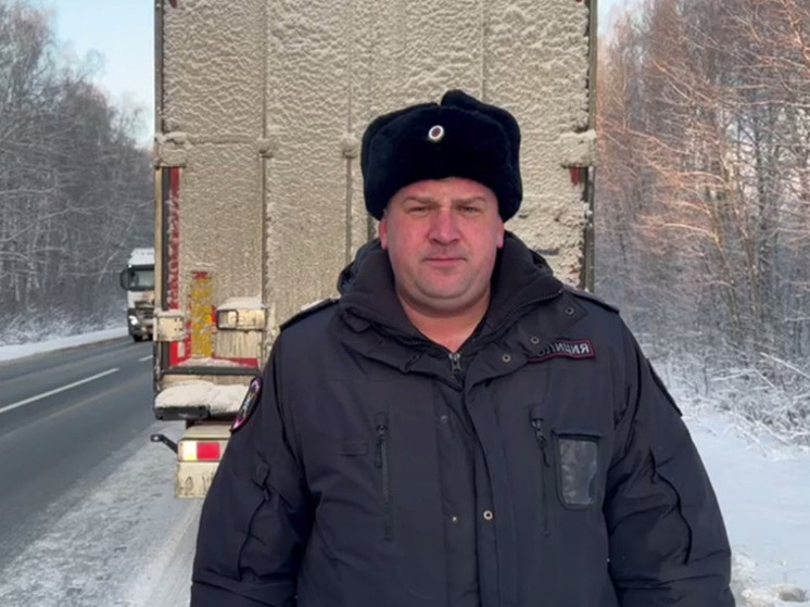 Два человека погибли под колесами большегруза в Нижегородской области