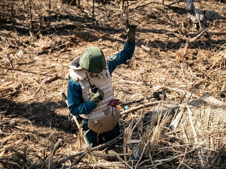 Более 500 боеприпасов и 1 113 гектаров: в ЛНР подвели итоги года по разминированию