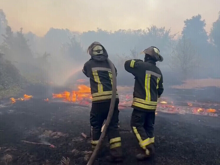 Статистика пожаров в ЛНР: возгораний стало почти вдвое меньше