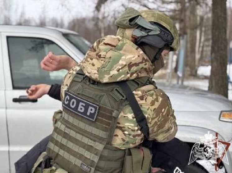 Во Владимирской области пресекли деятельность ОПГ, планировавшей атаки «коктейлями Молотова»