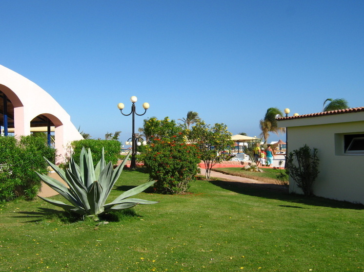 Одиноким мужчинам могут отказать в отелях Египта: что нужно знать перед поездкой