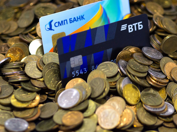 Челябинский депутат предложила создать механизм оплаты штрафов в аэропорту