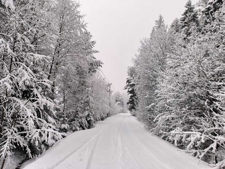 Экстренные службы сообщили о погибших в ДТП в Республике Саха