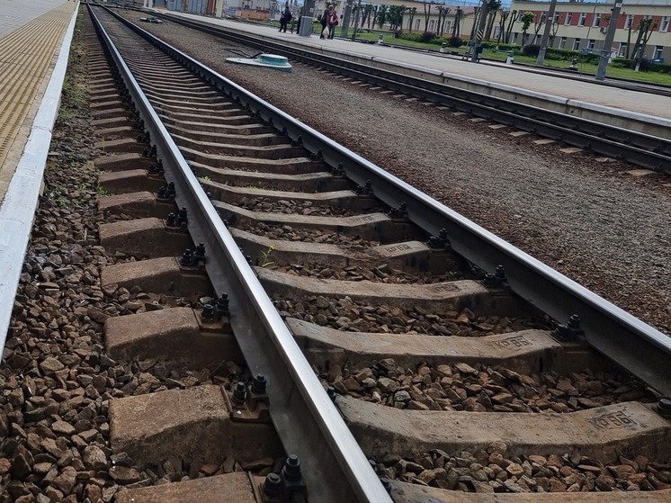 Касаткин: демонтаж железной дороги в Россию ударит по доходу Латвии