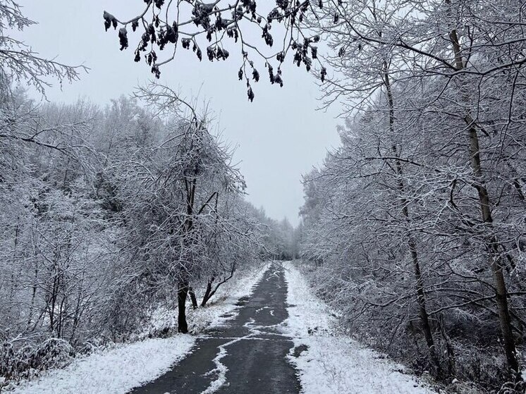 Столицу и область ждет достаточно существенное похолодание