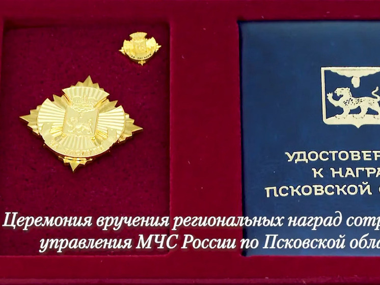 В Псковской области прошла церемония награждения отличившихся сотрудников управления МЧС России по Псковской области