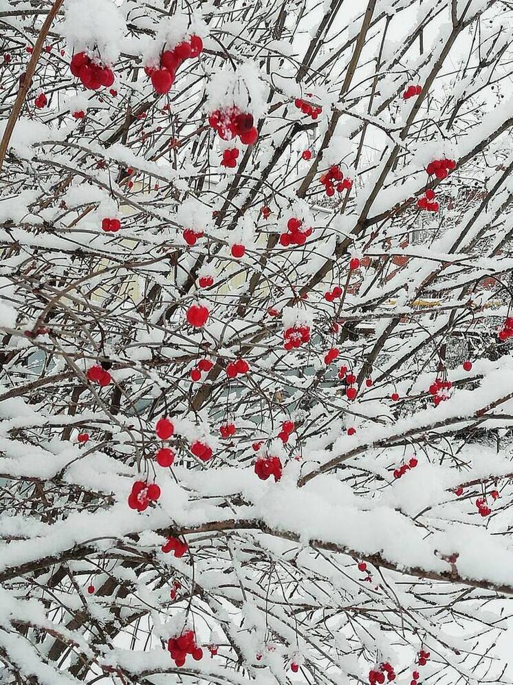 Не страшилками, а фактами: омбудсмен Мишонова объяснила, как говорить с детьми об опасности сосулек