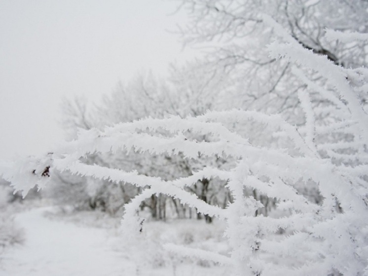 Волгоградцев предупредили об опасности для сердца резкого перепада температур