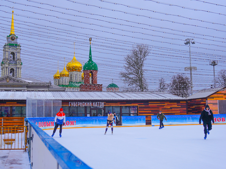 Туляков встревожила ситуация с перекупщиками билетов на Губернский каток