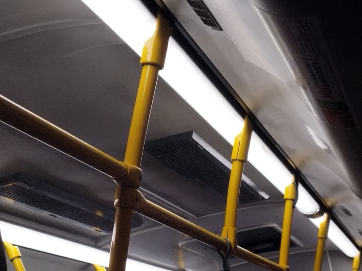 Более 500 новых автобусов получил Петербург