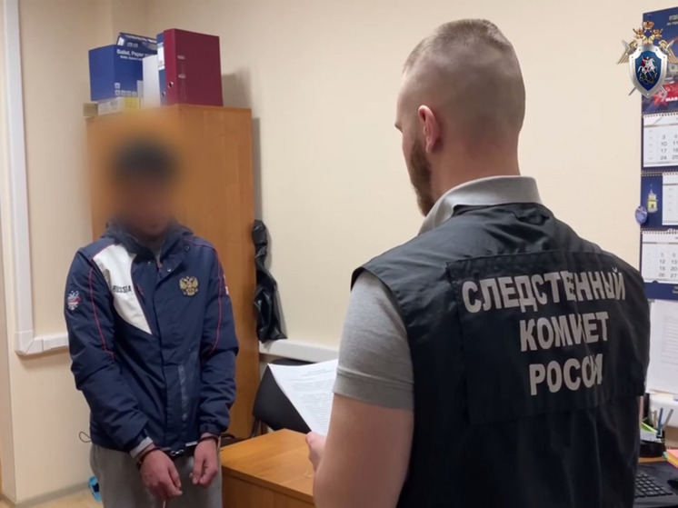 Иностранец пытался подкупить полицейского в Колпино и не смог