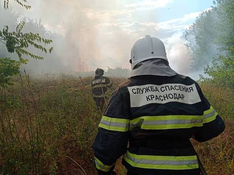 Краснодарские спасатели в 2025 году помогли 185 животным