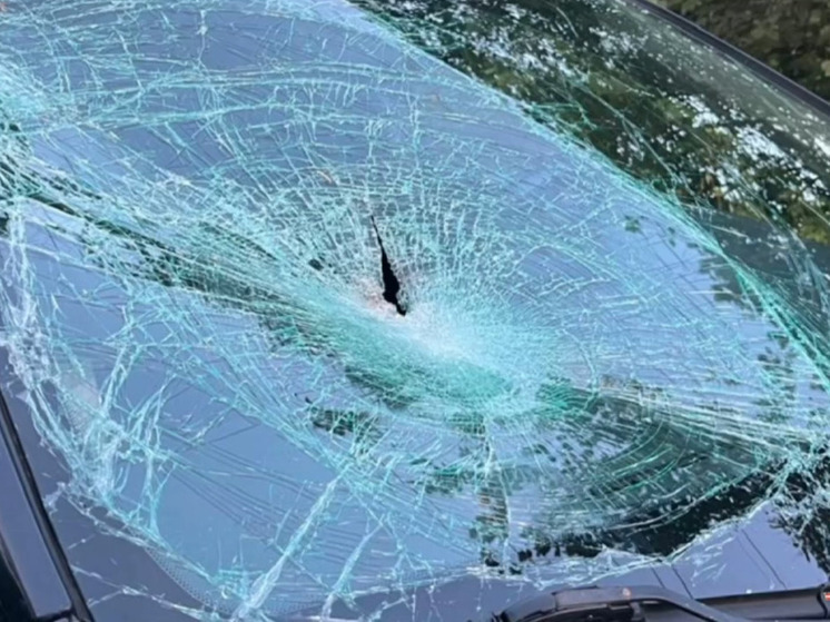 Под Кингисеппом «Солярис» улетел в кювет: пострадал пассажир