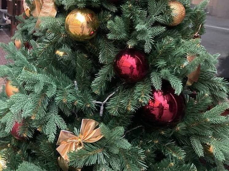 В Великом Новгород в парке «Березовая роща» украсили новогоднюю елку