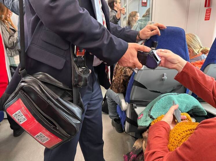 Единый тариф на электрички по 65 рублей начнет действовать с января в Петербурге