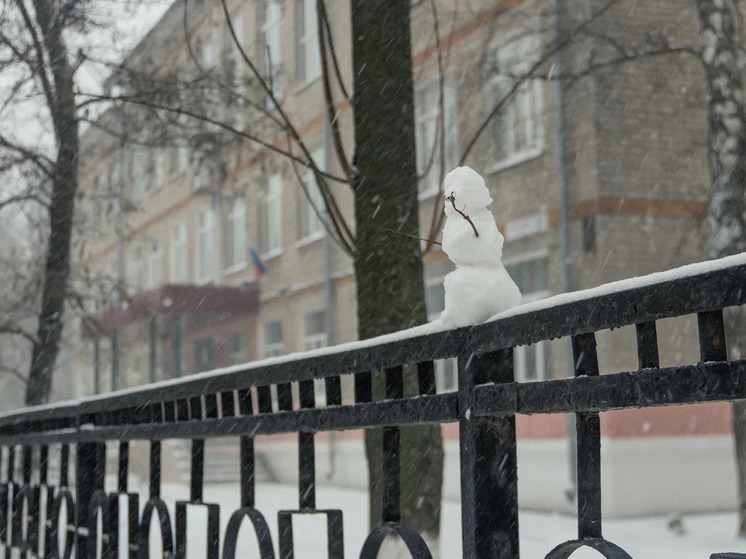 28 декабря в Рязанской области ожидаются снег и гололедица