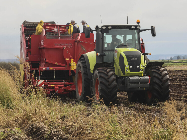 В Курской области аграриям предоставят льготные кредиты на восстановление