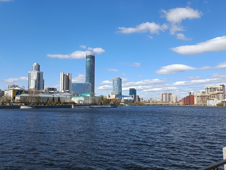 В Екатеринбурге можно будет проголосовать за президента Гвинеи