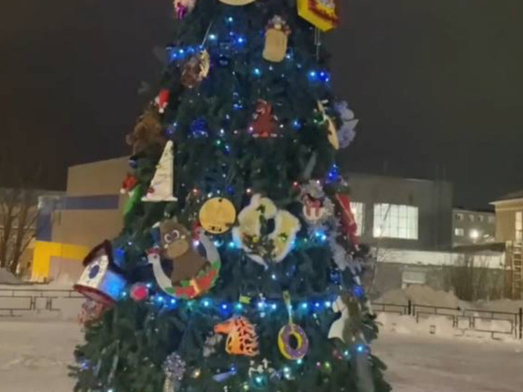 Жители Кировска и Апатитов украсили елку в театральном дворике своими игрушками