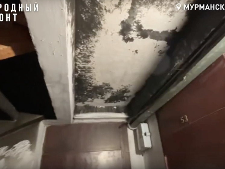 Жильцы пятиэтажки на Героев-североморцев страдают от бездействия УК