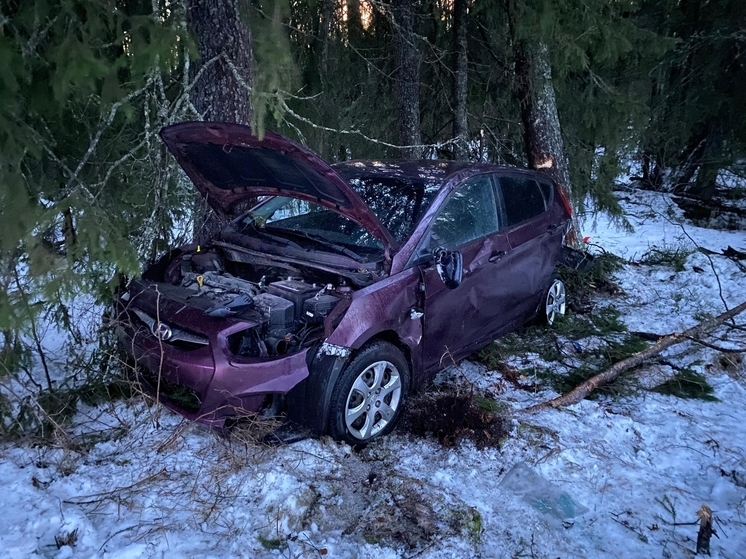 На федеральных трассах Карелии за 11 месяцев погибли 38 человек