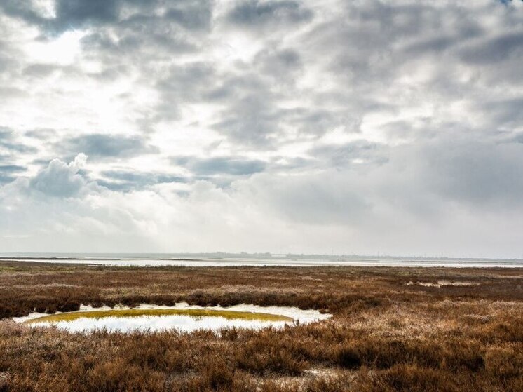 На Херсонщине объявили штормовое предупреждение из-за опасного ветра и волн