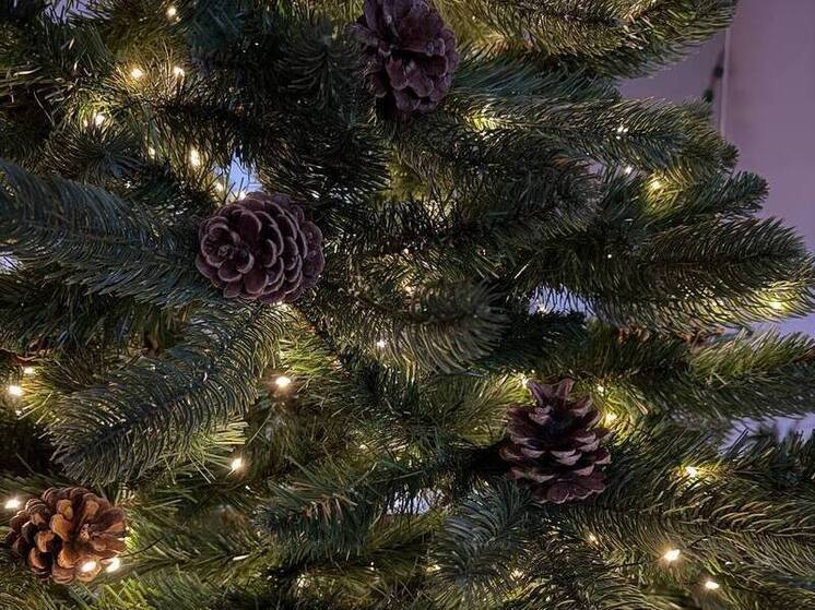 Крепкий мороз и порывистый ветер: прогноз погоды на Сахалине и Курилах на 28 декабря