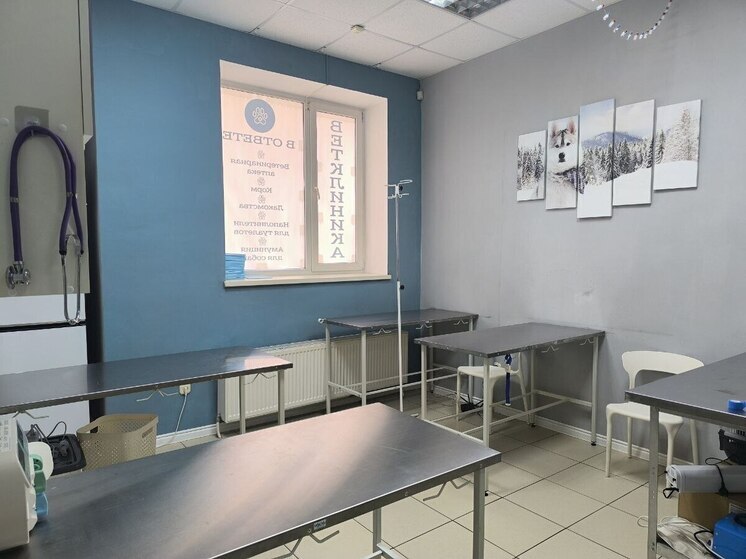 В Ставрополе в 2025 году заключено 811 социальных контрактов на 212 млн рублей