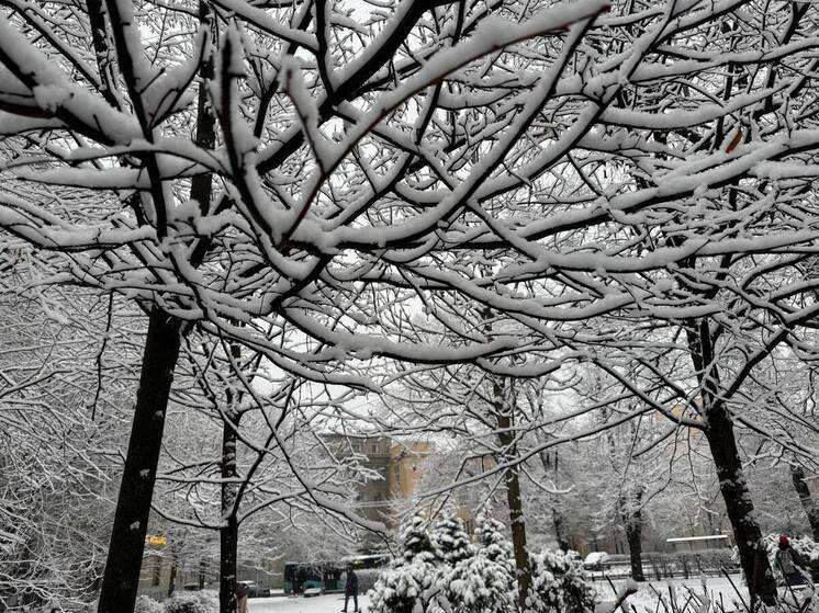 Последнее воскресенье 2025 года будет снежное и ветреное в Мурманской области