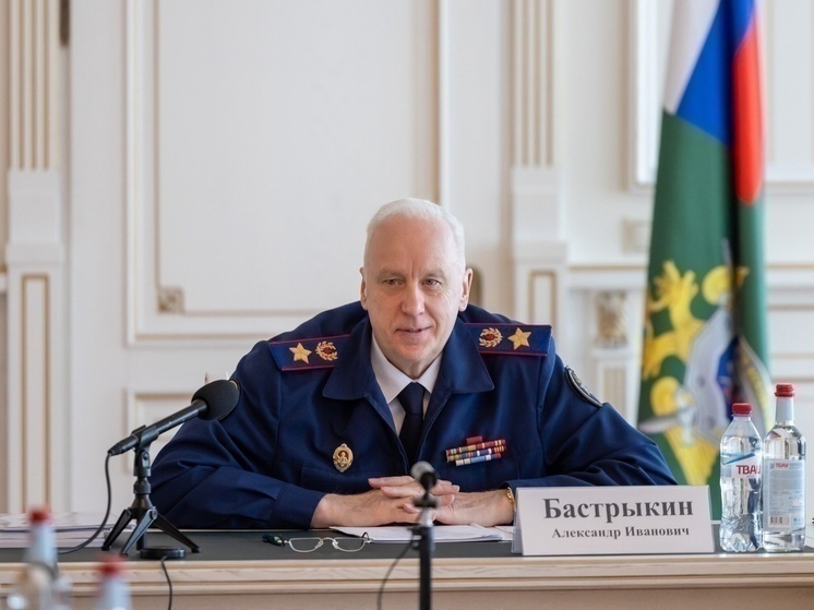 Бастрыкин поручил доложить о нападении стаи собак на ребёнка в Канске