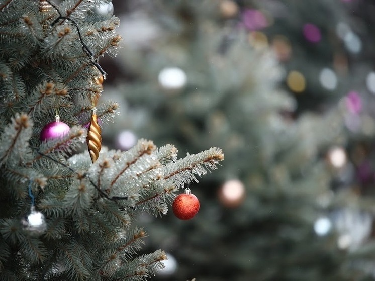 Полицейские исполнили мечту 8-летней волгоградки в акции «Елка желаний»