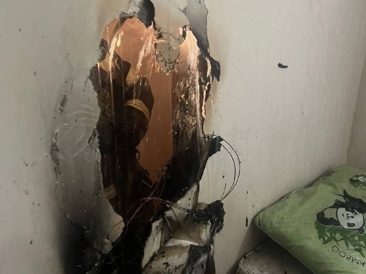 В Ростове из-за новогодней гирлянды в частном доме случился пожар