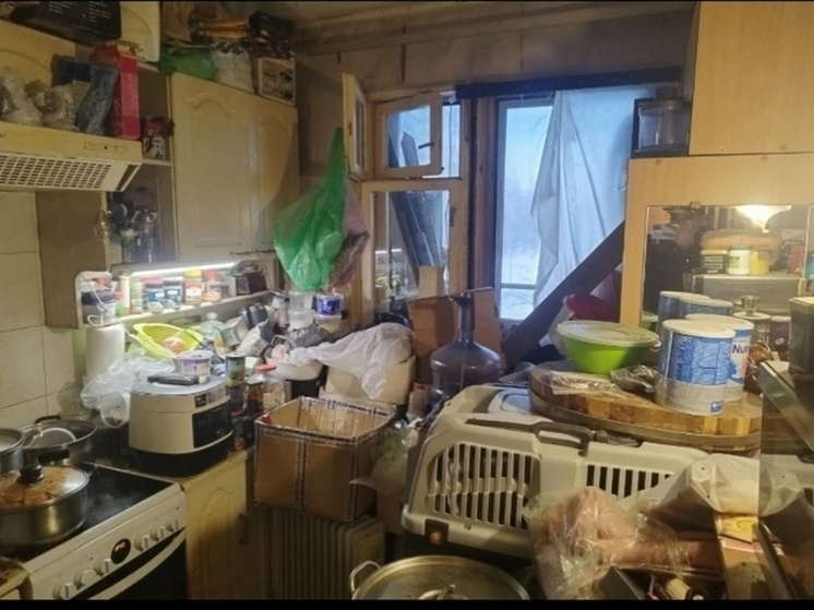 В Петербурге мужчина остался один с 40 джек-расселами после пропажи заводчицы