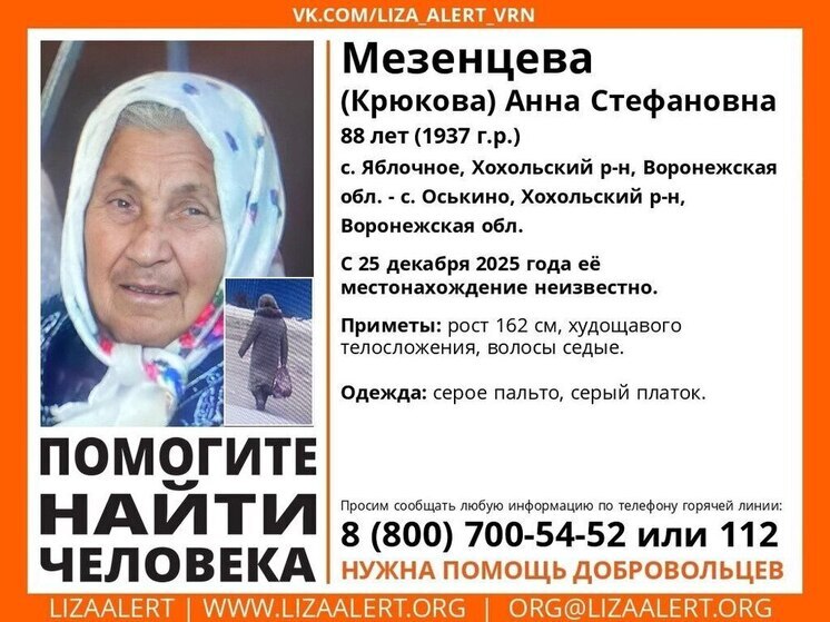 В Воронежской области ищут пропавшую 88-летнюю пенсионерку