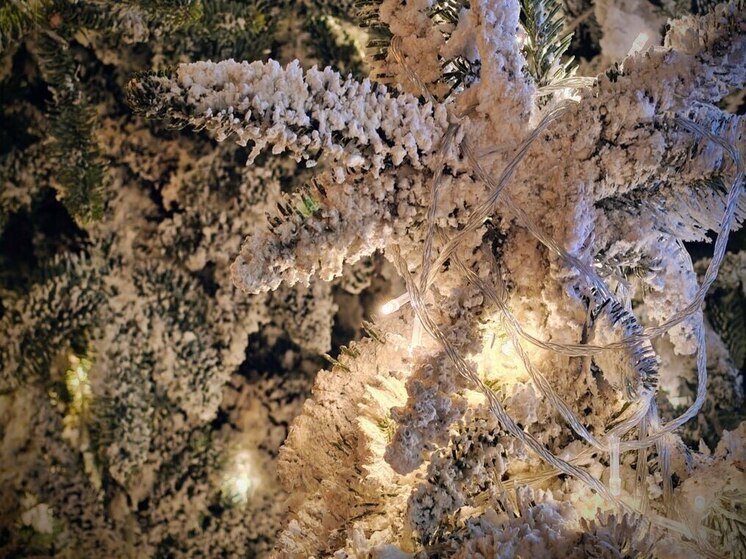 Жителей Пензенской области предупредили о новогодней схеме мошенников с елками