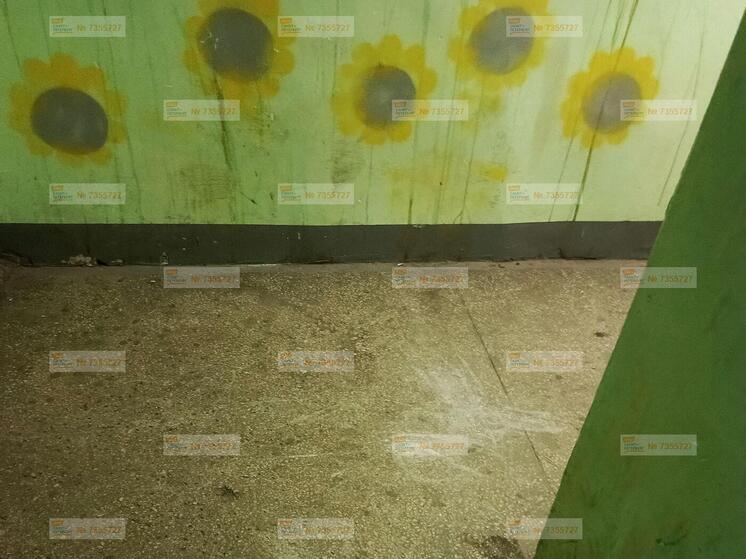 В Красносельском районе Петербурга подъезд не убирают с начала декабря