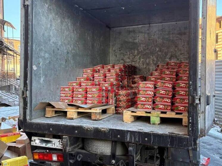 Глава Северной Осетии Сергей Меняйло сообщил о новогодних подарках для детей Запорожской области